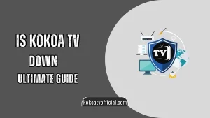 Kokoa TV Down [Ultimate Guide to Overcome Errors] Security steps
